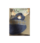 ガジラ6（個別スタンプ：7）