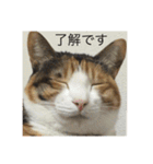 ガジラ6（個別スタンプ：17）