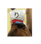ガジラ6（個別スタンプ：24）