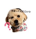 盲目トイプー海舟スタンプ（個別スタンプ：2）