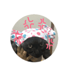 ひめごま（個別スタンプ：3）
