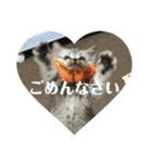 ひめごま（個別スタンプ：23）