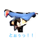 ビルのダンススタンプ2（個別スタンプ：13）