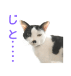 LimeLife2（個別スタンプ：3）