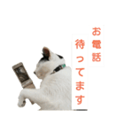 LimeLife2（個別スタンプ：6）