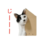 LimeLife2（個別スタンプ：8）
