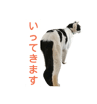 LimeLife2（個別スタンプ：12）