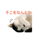 LimeLife2（個別スタンプ：13）