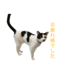 LimeLife2（個別スタンプ：14）