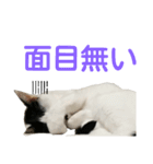 LimeLife2（個別スタンプ：18）