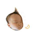 白玉 ぼうや（個別スタンプ：24）