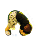白玉 ぼうや（個別スタンプ：29）