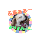 けっちゅくん（個別スタンプ：3）