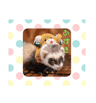 らいあんふれんず（個別スタンプ：3）