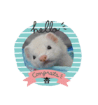 らいあんふれんず（個別スタンプ：5）