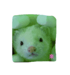 らいあんふれんず（個別スタンプ：6）