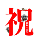 パグのもい スタンぷぅ～2（個別スタンプ：1）