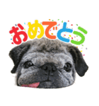 パグのもい スタンぷぅ～2（個別スタンプ：2）