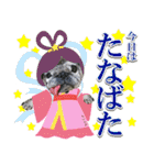 パグのもい スタンぷぅ～2（個別スタンプ：10）