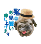 パグのもい スタンぷぅ～2（個別スタンプ：11）