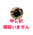 デカ文字シロクロ（個別スタンプ：8）