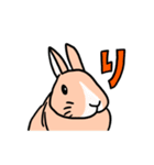 もふもふうさぎすき（個別スタンプ：1）