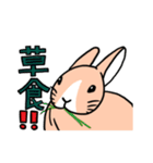 もふもふうさぎすき（個別スタンプ：3）