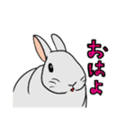 もふもふうさぎすき（個別スタンプ：4）