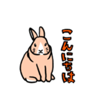 もふもふうさぎすき（個別スタンプ：7）