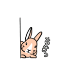 もふもふうさぎすき（個別スタンプ：8）