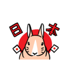 もふもふうさぎすき（個別スタンプ：13）