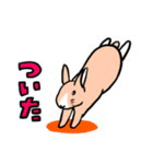 もふもふうさぎすき（個別スタンプ：25）