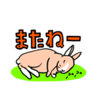 もふもふうさぎすき（個別スタンプ：27）