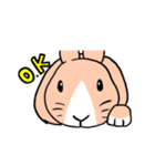 もふもふうさぎすき（個別スタンプ：29）