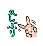 もふもふうさぎすき（個別スタンプ：35）