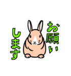 もふもふうさぎすき（個別スタンプ：38）