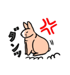 もふもふうさぎすき（個別スタンプ：39）