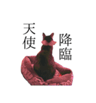 さくら三昧・いい女のつもり編（個別スタンプ：1）