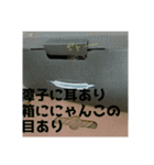 さくら三昧・いい女のつもり編（個別スタンプ：18）
