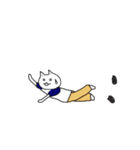 スケートボードが好きなねこ。（個別スタンプ：6）