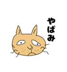 toshi.cat  stamps（個別スタンプ：1）