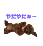 保護猫すたんぷ 5（個別スタンプ：35）