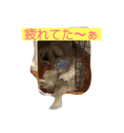 ぐん、ましゅ、ちっぷ（個別スタンプ：6）