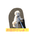 ぐん、ましゅ、ちっぷ（個別スタンプ：7）