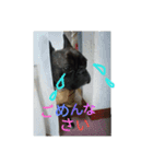 さにたん（個別スタンプ：2）
