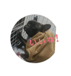 さにたん（個別スタンプ：4）