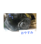 さにたん（個別スタンプ：7）
