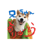 虎次郎がかわいいスタンプ（個別スタンプ：28）
