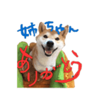 虎次郎がかわいいスタンプ（個別スタンプ：29）