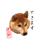 虎次郎がかわいいスタンプ（個別スタンプ：30）